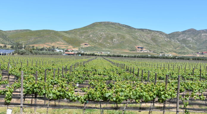 REFORMA DE LEY DE AGUS NO GARANTIZA JUSTICIA HÍDRICA PARA EL VALLE DE GUADALUPE