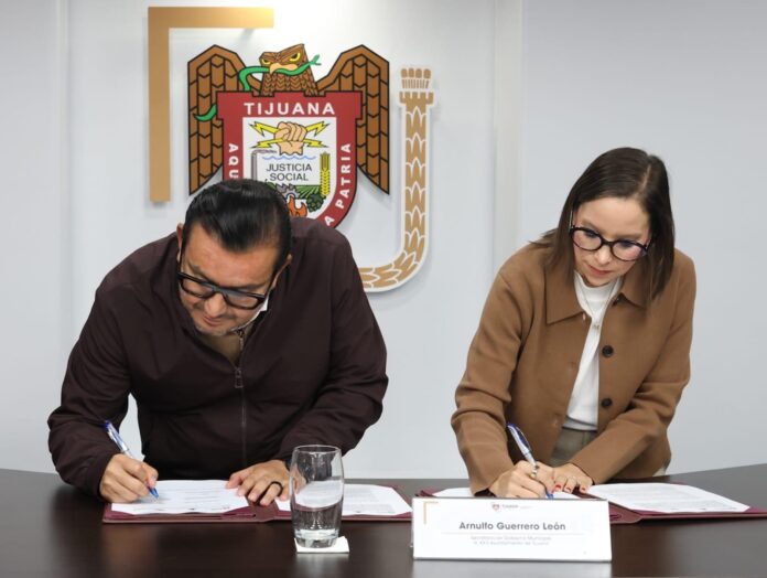 WhatsApp Image 2025-11-06 at 5.13.58 PM