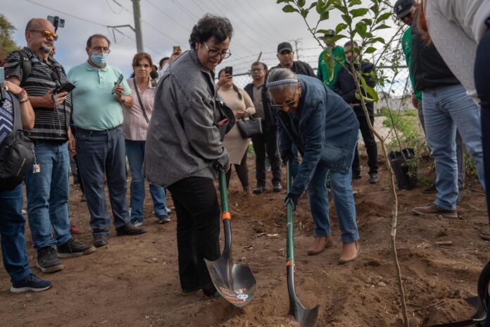 WhatsApp Image 2025-11-06 at 5.49.34 PM