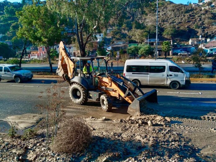 WhatsApp Image 2025-11-18 at 3.39.43 PM