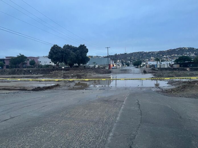 WhatsApp Image 2025-11-21 at 5.45.18 PM