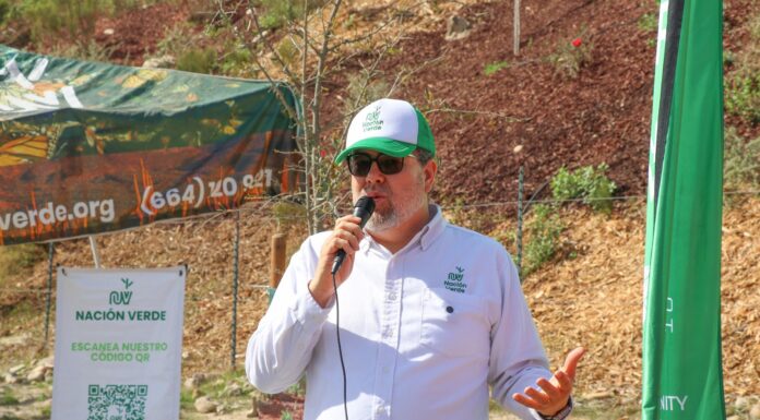 CONVIERTE «NACIÓN VERDE» LA COMPENSACIÓN AMBIENTAL EN OPORTUNIDAD ESTRATÉGICA PARA EMPRESAS