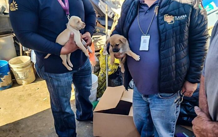 WhatsApp Image 2025-12-01 at 4.32.31 PM