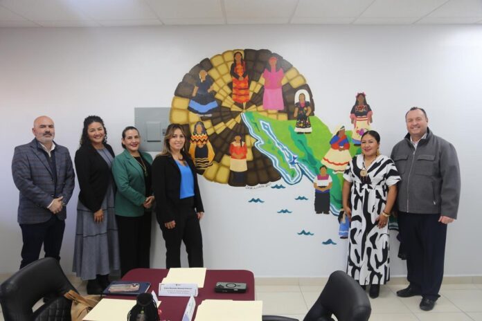 WhatsApp Image 2025-12-10 at 1.45.30 PM