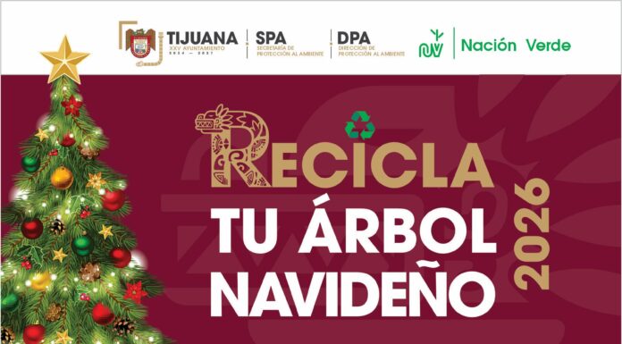 HABILITAN CENTROS DE ACOPIO DE ÁRBOLES DE NAVIDAD EN LAS NUEVE DELEGACIONES DE TIJUANA
