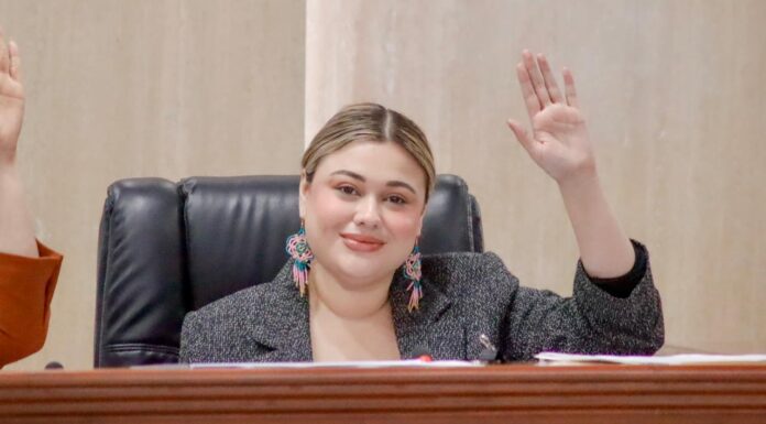 PROPONE LEGISLADORA PROHIBIR LA VENTA IRREGULAR DE ANIMALES Y GARANTIZAR SU BIENESTAR