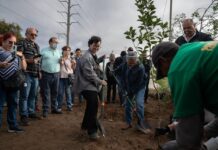 SE FORTALECE POLÍTICA AMBIENTAL Y DE BIENESTAR ANIMAL EN ROSARITO