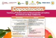INVITAN AL SECTOR AGRARIO DE BC A CAPACITARSE EN CULTIVO DE CÍTRICOS