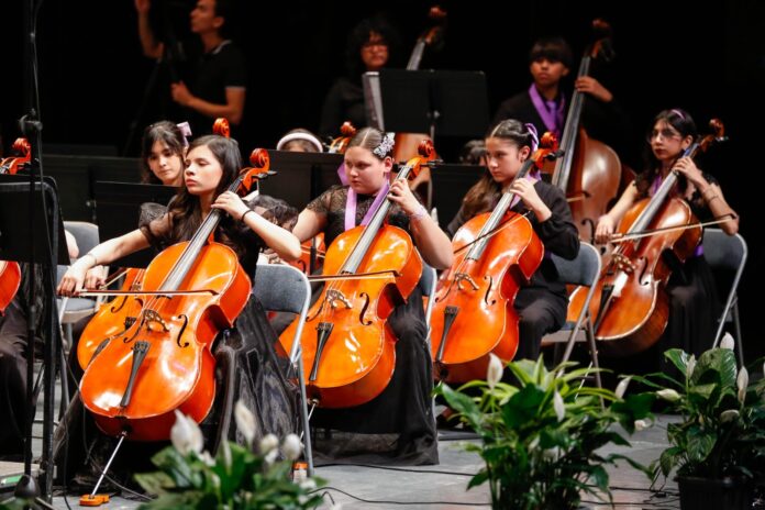 WhatsApp Image 2026-01-21 at 12.15.39 PM