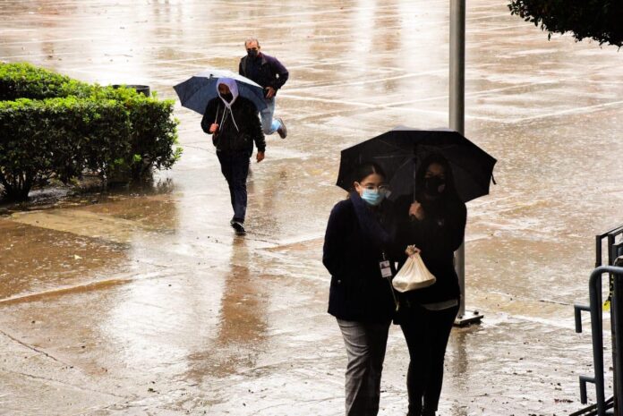 WhatsApp Image 2026-01-22 at 2.02.44 PM