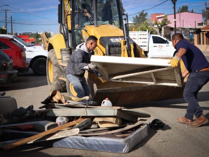 WhatsApp Image 2026-01-26 at 1.49.22 PM