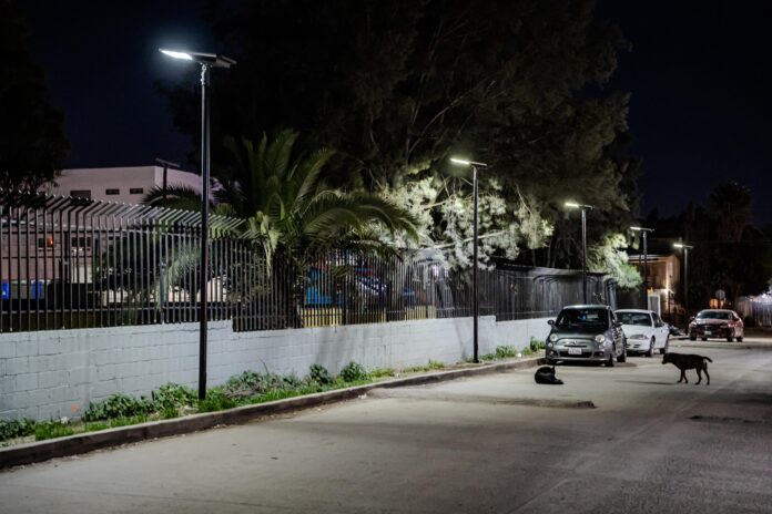 WhatsApp Image 2026-01-28 at 1.19.17 PM