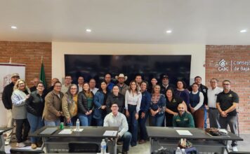 PREPARA SADER BC DESPLIEGUE DE APOYOS 2026