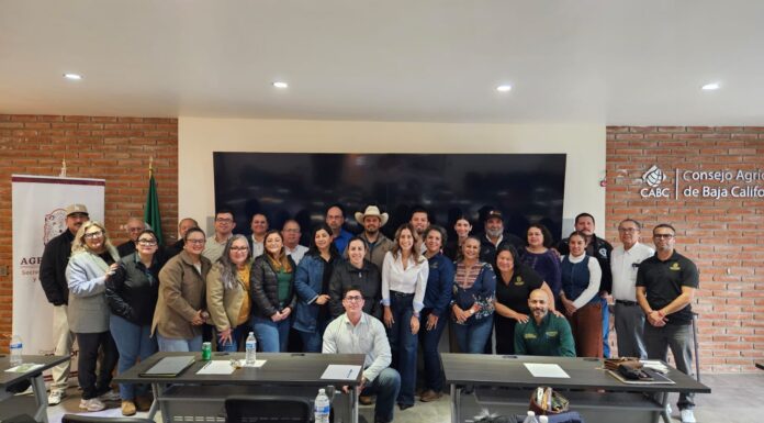 PREPARA SADER BC DESPLIEGUE DE APOYOS 2026