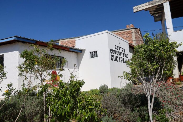 WhatsApp Image 2026-02-13 at 4.51.33 PM