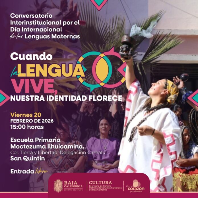 WhatsApp Image 2026-02-16 at 1.54.04 PM