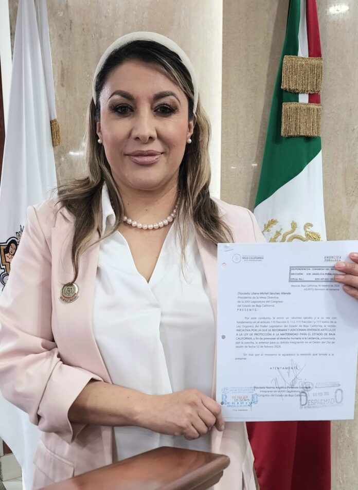 WhatsApp Image 2026-02-17 at 2.07.22 PM