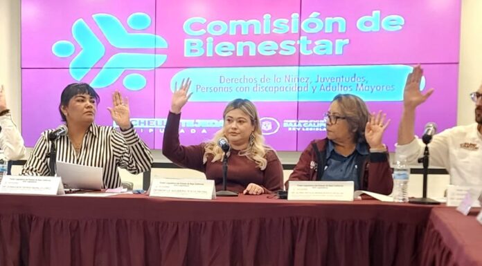AVANZAN DICTÁMENES LEGISLATIVOS EN MATERIA DE PROTECCIÓN INFANTIL Y JUSTICIA SOCIAL EN BC