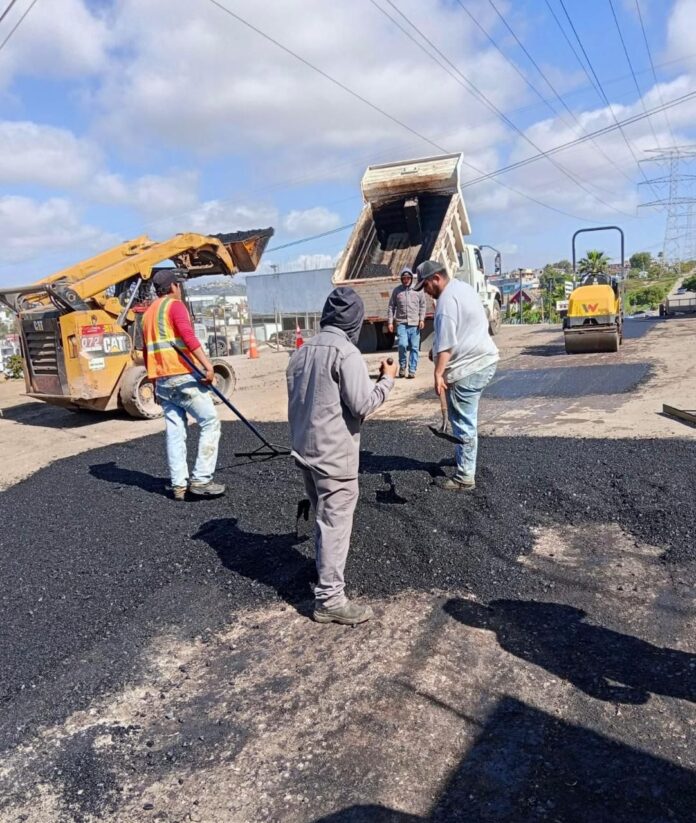 WhatsApp Image 2026-02-19 at 9.38.25 AM