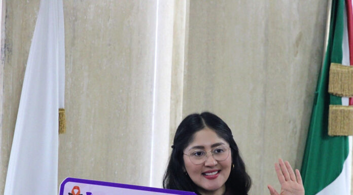 LEGISLADORA IMPULSA EXHORTO PARA REVISAR AVANCES DE LA LEY DARYELA