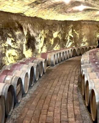 VALLE DE GUADALUPE: UN DESTINO DE CLASE MUNDIAL PARA VISITAR CUALQUIER FECHA DEL AÑO