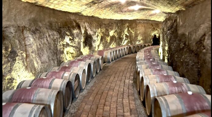 VALLE DE GUADALUPE: UN DESTINO DE CLASE MUNDIAL PARA VISITAR CUALQUIER FECHA DEL AÑO