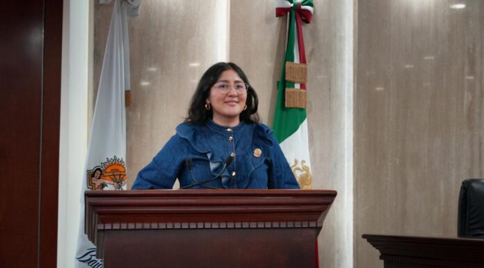 PROPONE LEGISLADORA CREAR LEY DE AUSTERIDAD EN BC