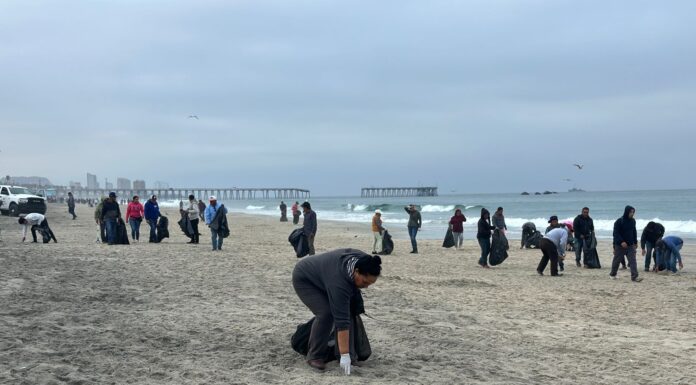 REALIZAN EMPLEADOS DE EMPRESA, JORNADA DE LIMPIEZA EN PLAYAS DE ROSARITO