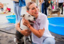 ALLEGAN SERVICIOS GRATUITOS PARA PERROS Y GATOS EN BC