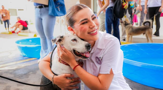 ALLEGAN SERVICIOS GRATUITOS PARA PERROS Y GATOS EN BC