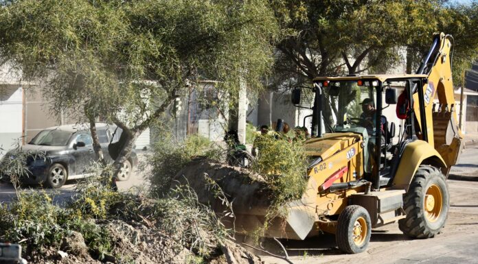 RETIRAN MÁS 26 TONELADAS DE BASURA DE DIFERENTES COLONIAS DE TIJUANA