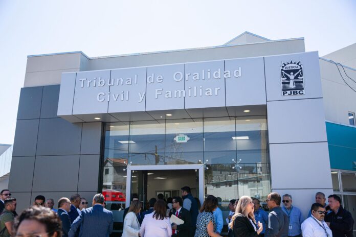 WhatsApp Image 2026-03-20 at 6.50.29 PM (1)