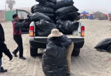 REFUERZAN LIMPIEZA Y VIGILANCIA EN PLAYAS DE ROSARITO
