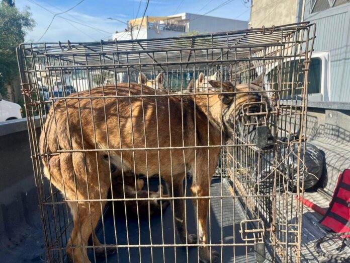 WhatsApp Image 2026-04-09 at 7.28.12 PM