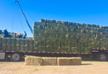 IMPULSA SADER BC HISTÓRICA ALIANZA COMERCIAL ENTRE PRODUCTORES Y GANADEROS DEL ESTADO