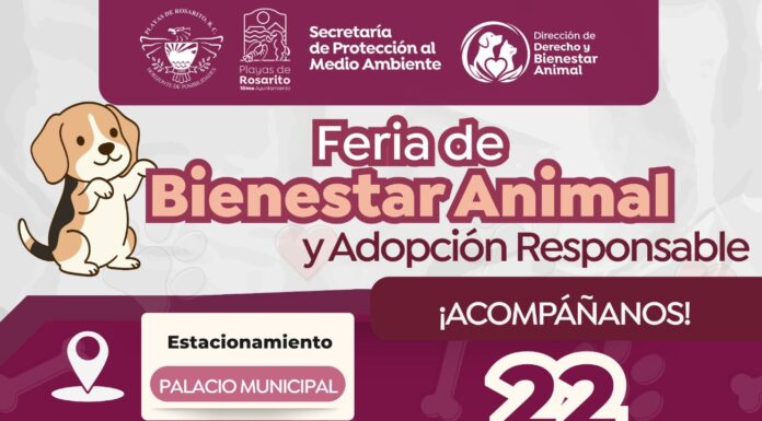 REALIZAN FERIA DEL BIENESTAR ANIMAL Y ADOPCIÓN RESPONSABLE EN ROSARITO