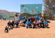 ORGANIZAN PASEOS RECREATIVOS CON VOLUNTARIADO EN FAVOR DEL BIENESTAR ANIMAL EN ROSARITO