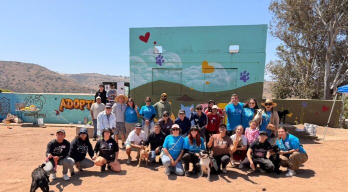 ORGANIZAN PASEOS RECREATIVOS CON VOLUNTARIADO EN FAVOR DEL BIENESTAR ANIMAL EN ROSARITO