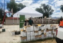 LOGRAN ACOPIO DE MÁS DE 4.8 TONELADAS DE VIDRIO EN MEGA COLECTA EN ENSENADA