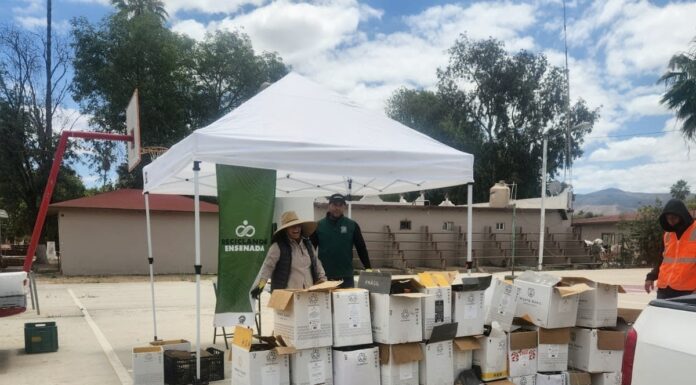 LOGRAN ACOPIO DE MÁS DE 4.8 TONELADAS DE VIDRIO EN MEGA COLECTA EN ENSENADA