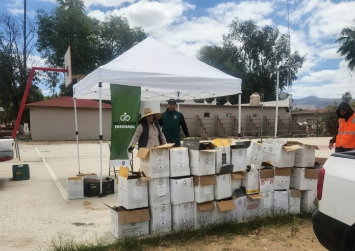 Mega colecta de vidrio El Porvenir (1)