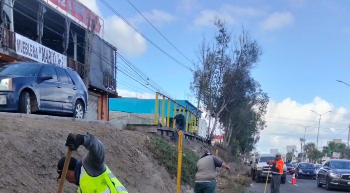 REALIZAN JORNADA DE LIMPIEZA Y DESHIERBE SOBRE EL BULEVAR BENITO JUÁREZ EN ROSARITO
