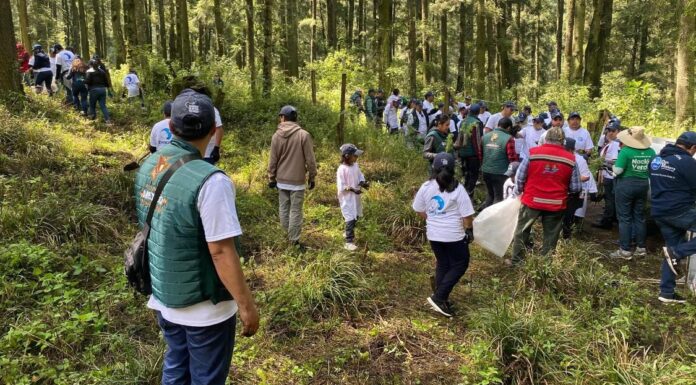 ASOCIACIÓN AMBIENTALISTA CONVOCA AL SECTOR EMPRESARIAL A SUMARSE A JORNADAS DE RESTAURACIÓN ECOLÓGICA