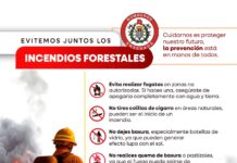 COMBATEN INCENDIO FORESTAL EN SAN JOSÉ DE LA ZORRA: AFECTA YA 150 HECTÁREAS EN ENSENADA
