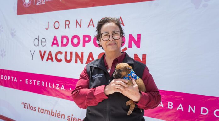 ESTABLECEN ACCIONES PERMANENTES EN ROSARITO EN FORTALECIMIENTO DEL BIENESTAR ANIMAL