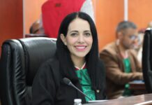 DIPUTADA MAYOLA GAONA PRESENTA REFORMA EN MATERIA DE PLAZOS Y TÉRMINOS DEL PROCESO LEGISLATIVO