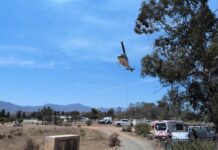 MATIENE BOMBEROS DE ENSENADA VIGILANCIA EN HÉROES DE LA INDEPENDENCIA Y SIERRA DE JUARES ANTE INCENCIOS FORESTALES