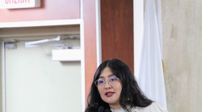 REFORMA CONSTITUCIONAL OBLIGARÁ A REDISEÑAR MUNICIPIOS CON ENFOQUE DE GÉNERO Y SUSTENTABILIDAD