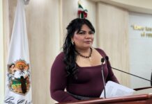 DIRIGEN EXHORTO A TITULAR DE LA SECRETARÍA DE SEGURIDAD CIUDADANA DEL ESTADO Y A TITULARES DE LOS MUNICIPIOS