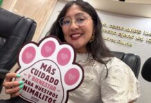 EXIGE CONGRESO A LOS AYUNTAMIENTOS RINDAN CUENTAS SOBRE OPERACION DE CENTROS DE CONTROL ANIMAL